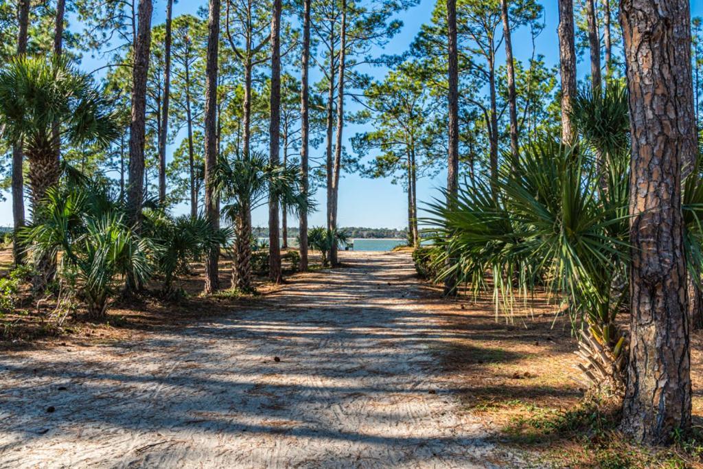 1686 Bluff Villas Renovated Sleeps 8 Walk To Salty Dog Sea Pines 힐튼 헤드 아일랜드 외부 사진